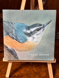 Critter Squares - Red-breasted Nuthatch CP e-Packet